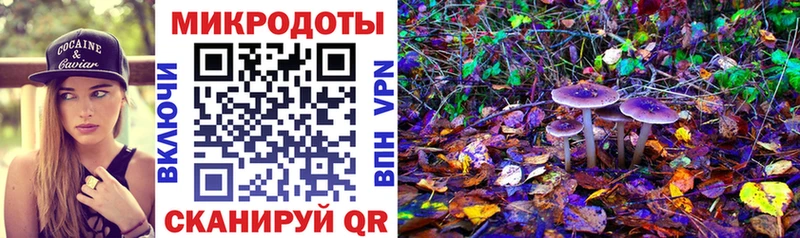 Псилоцибиновые грибы мицелий  закладки  Петушки 
